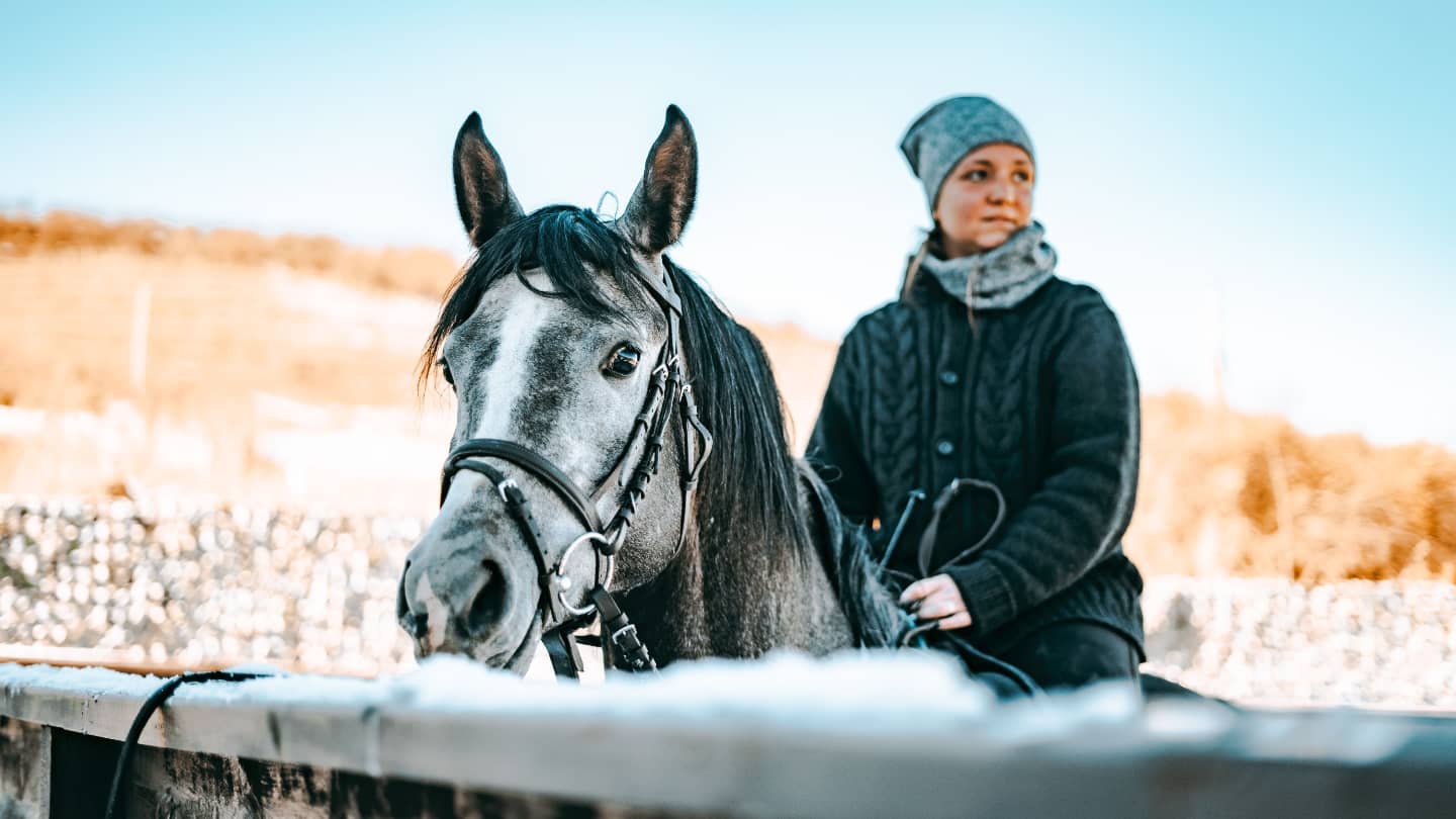 Конная прогулка в Алматы 1 – dream-moments