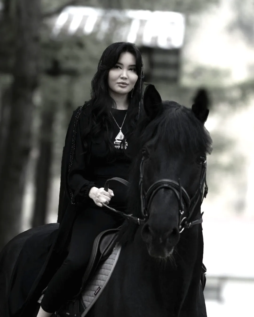 Стилизованная фотосессия с лошадью