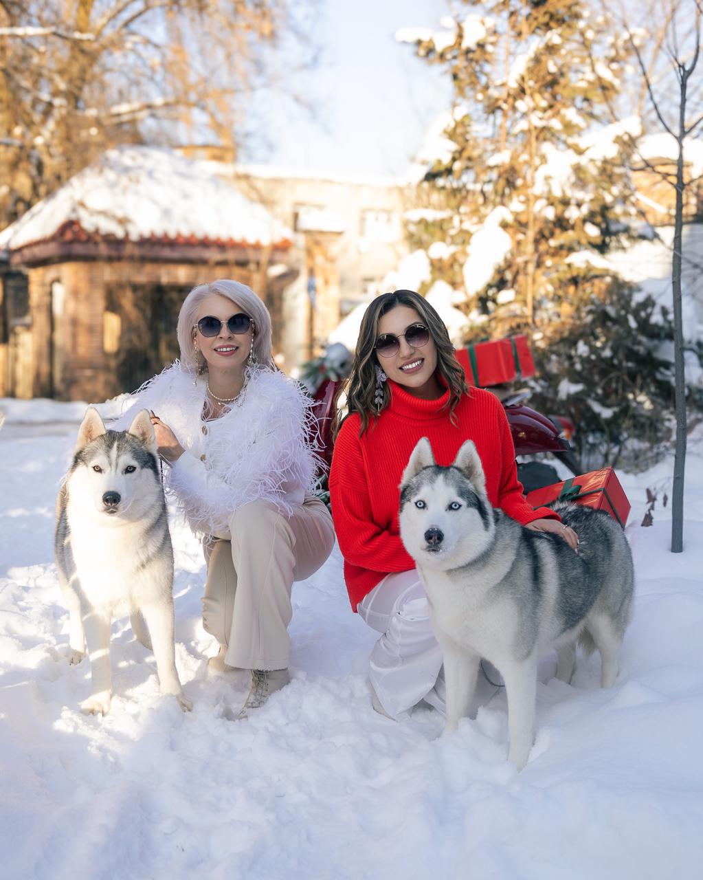 Семейная фотосессия "Хаски-Ласки"  3 – dream-moments