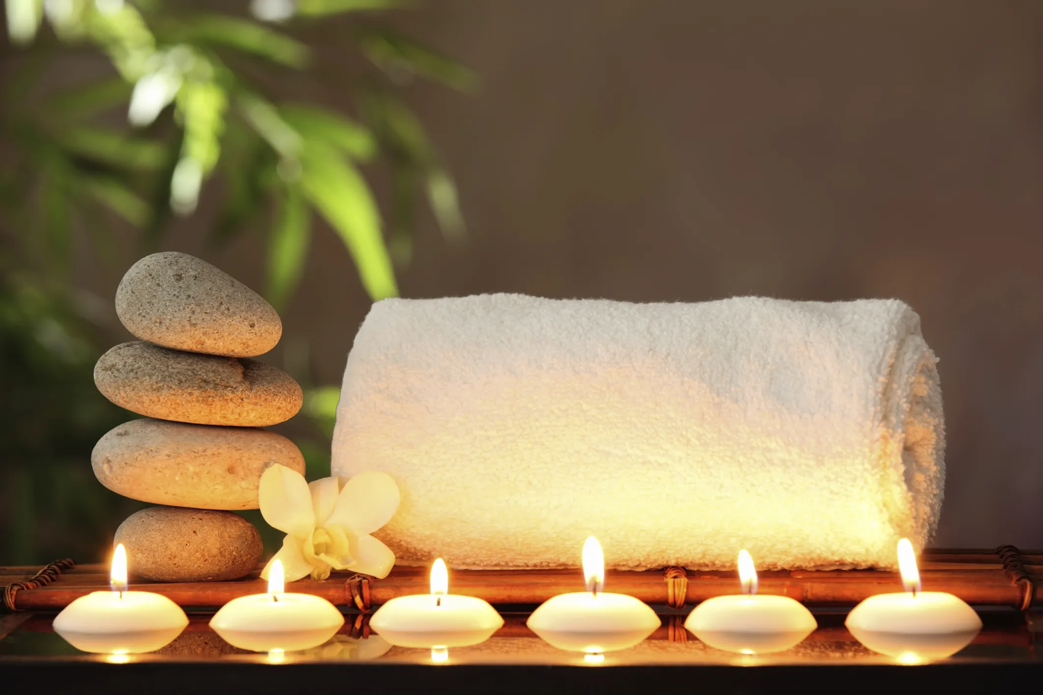 SPA программа "Тай Люкс" в  "Lux Thai SPA"