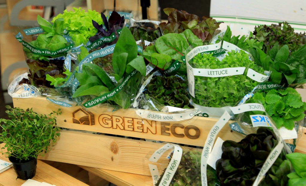 Агро-тур "Живая зелень" от "Green Eco" 2 – dream-moments